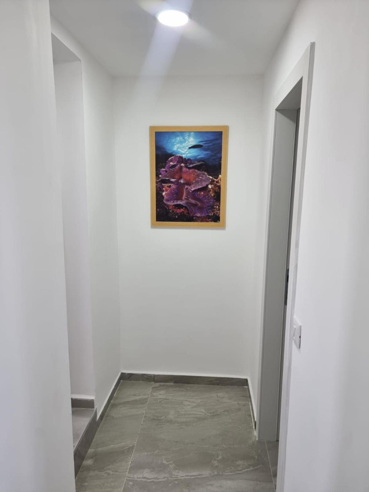 Apartamento דירת גג נוף המפרץ 1105-6 Eilat Exterior foto